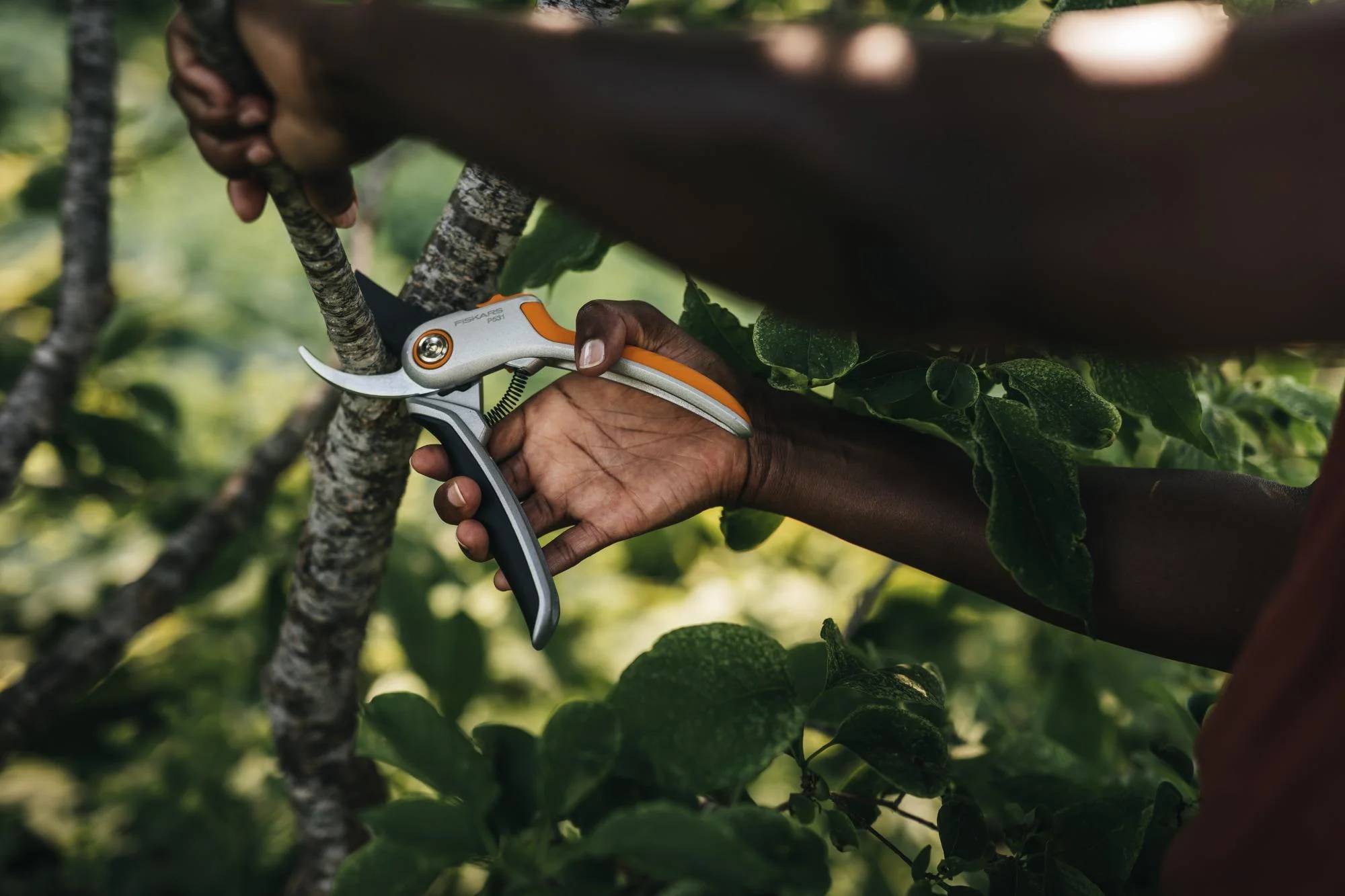 Sécateur métal lame franche Plus P531 - FISKARS - Imagen 10
