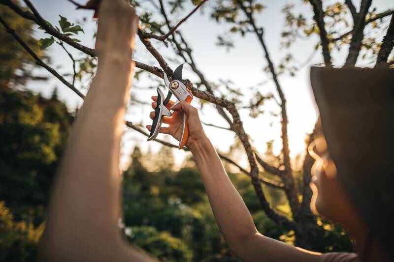 Sécateur PowerLever - FISKARS - Imagen 5
