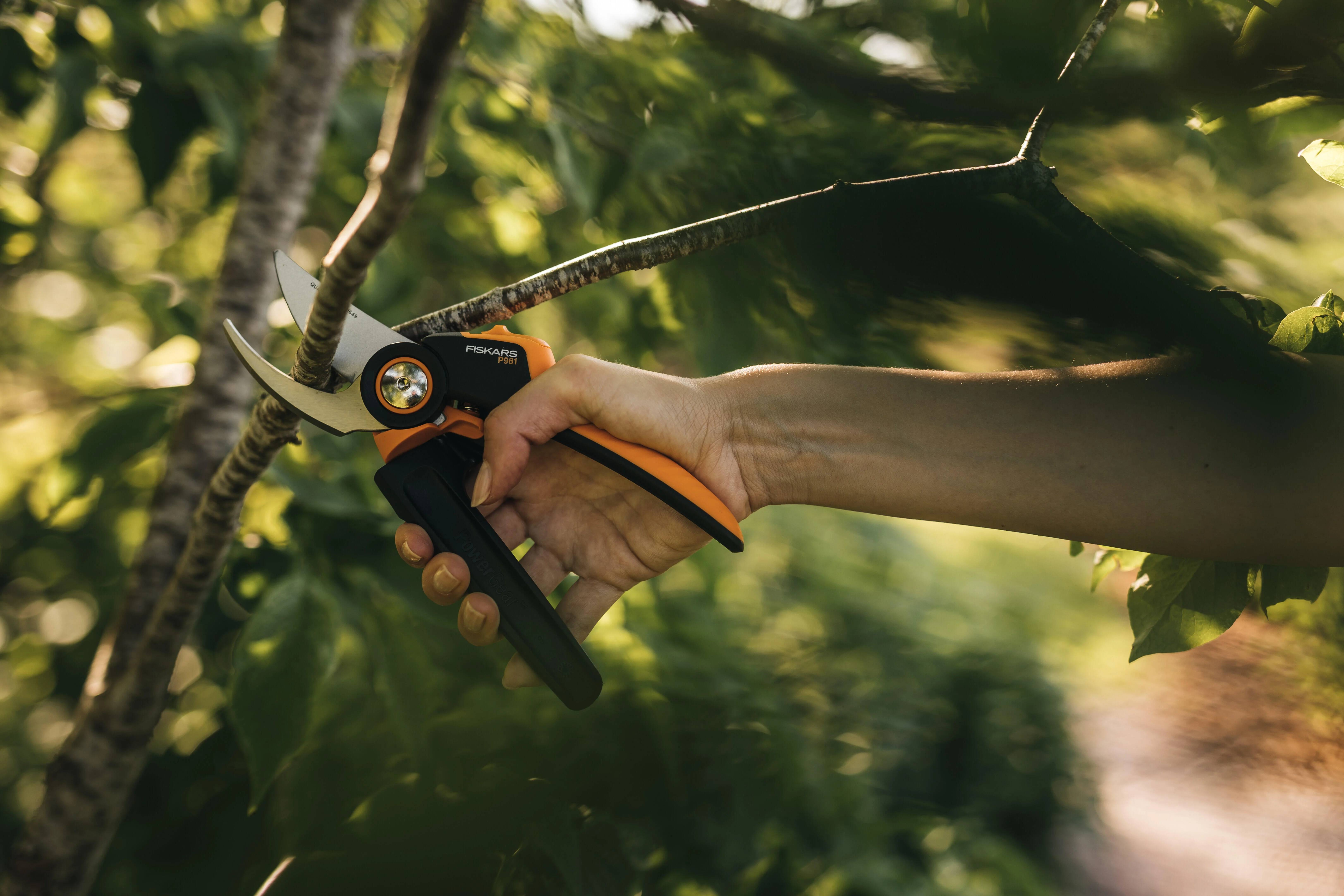 Fiskars - Sécateur à lame franche X-series™ L (P961) - Fiskars - Image 15