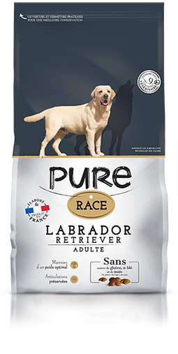 Pure Race - Croquetas para perro Labrador 12kg - Pure Race