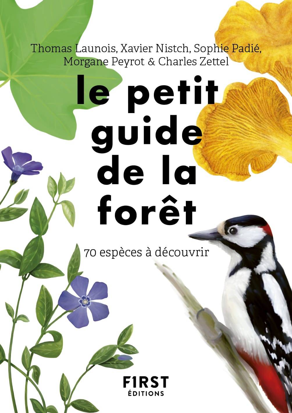 Le petit guide d'observation de la forêt