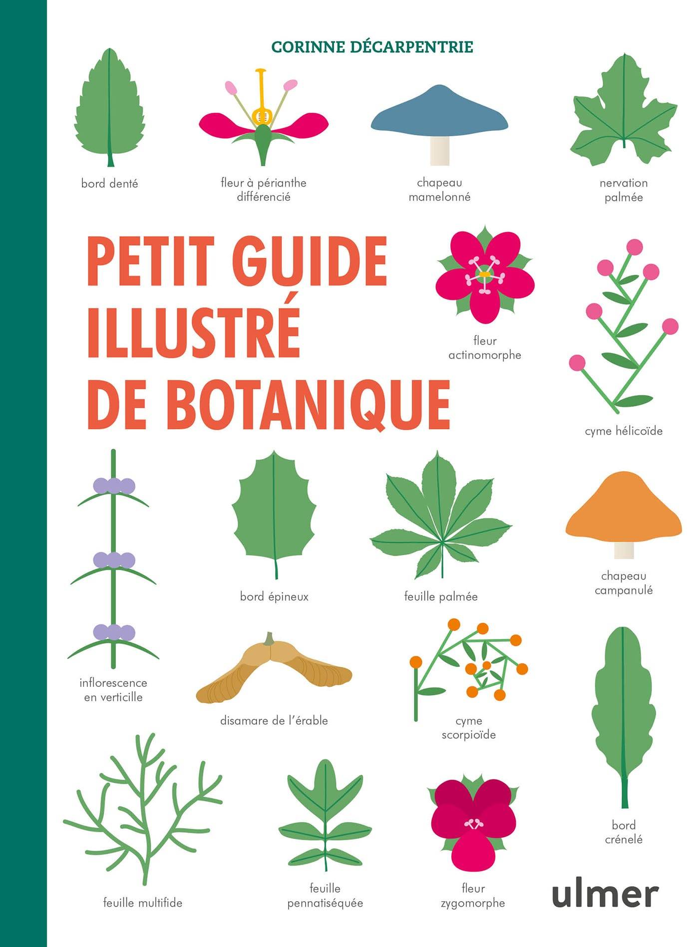 Ulmer - Petit guide illustré de botanique