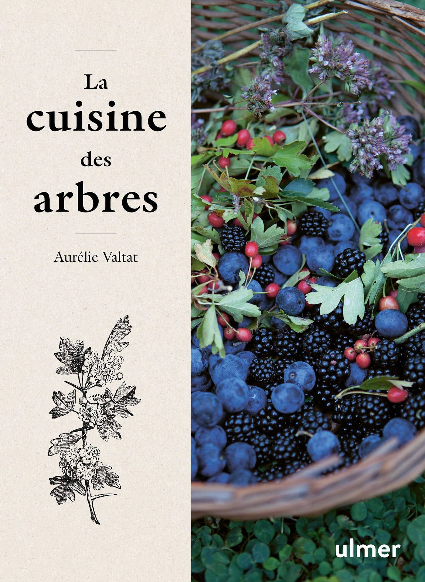 Ulmer - La cuisine des arbres
