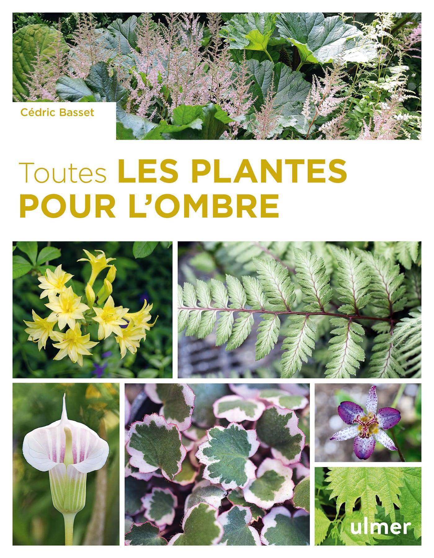 Ulmer - Toutes les plantes pour l'ombre