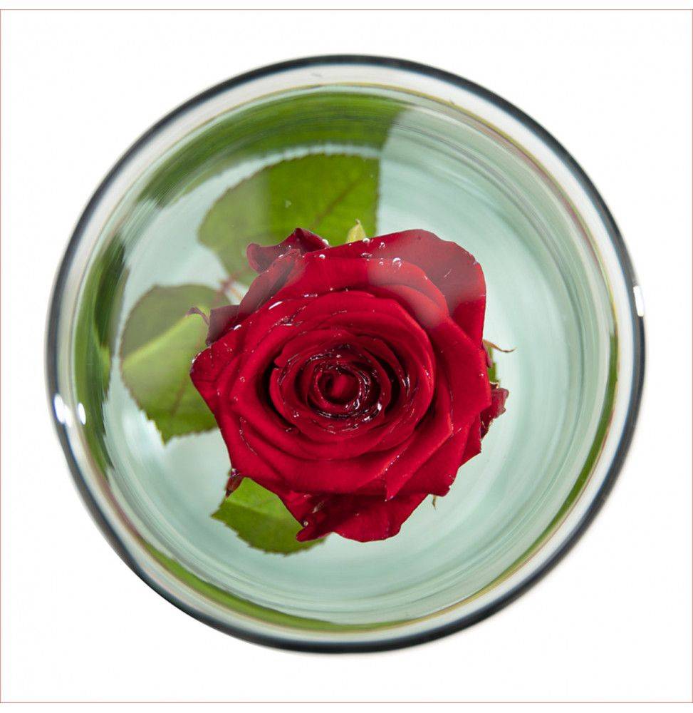 Vase Pour Fleurs Immergées Verre Transparent L. 12,2 cm H. 20 cm - ECLOZ - Imagen 2