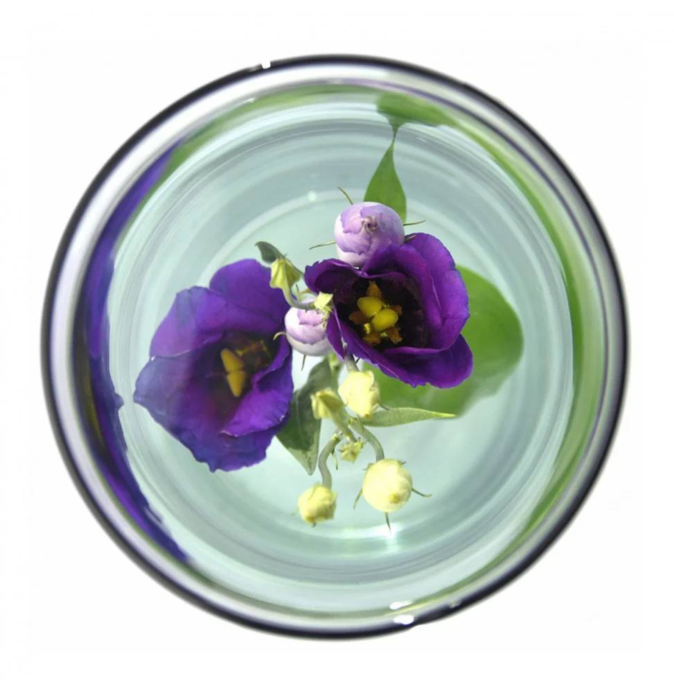 Jarrón para Flor Sumergida Vidrio Reciclado Transparente 7,0 L H 70 cm -