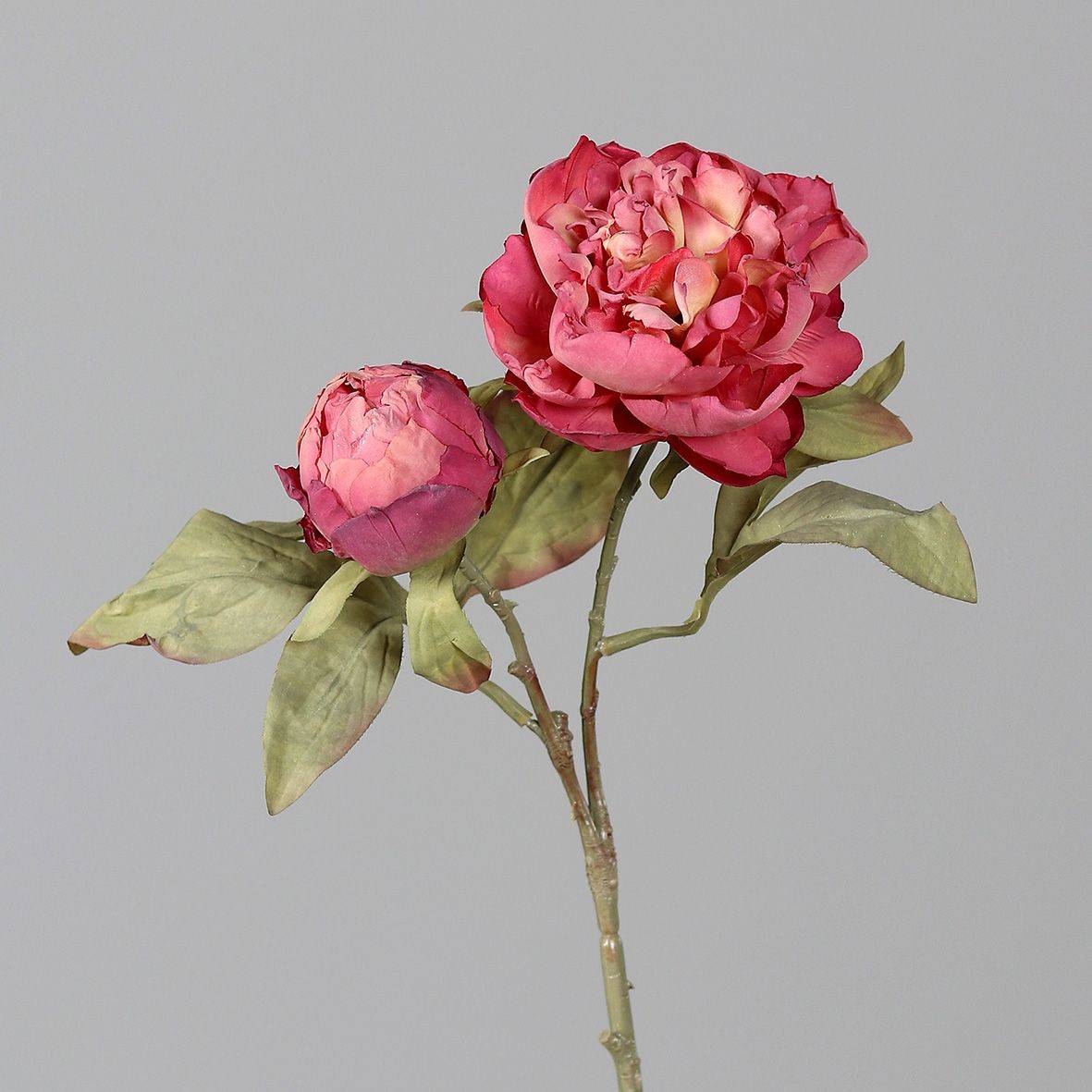 DPI - DPI - Pivoine Aspect Fleur séchées Couleur Pêche H.37 cm