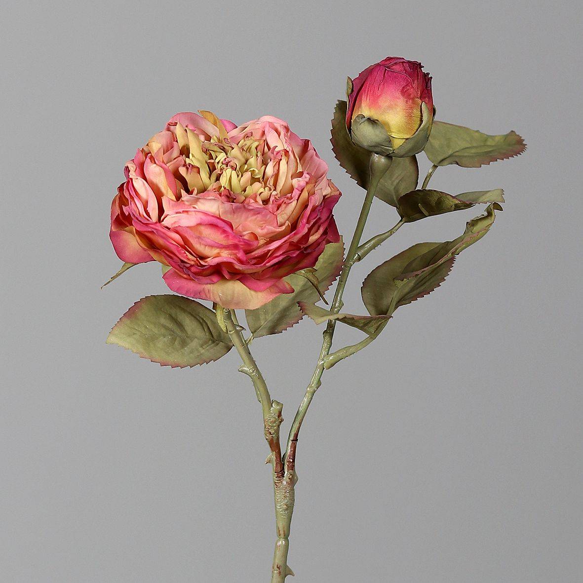 DPI - DPI - Rose Artificielle Pêche Aspect Séchée H.33 cm