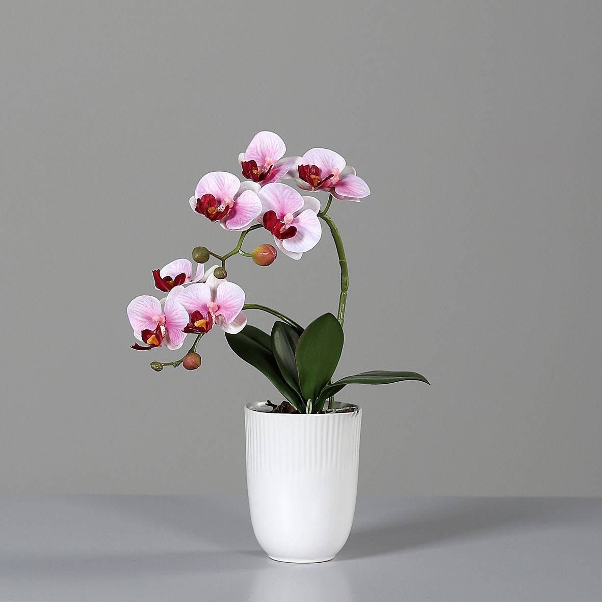 DPI - DPI - Orchidée Coupe en Céramique Blanche Rose H.31 cm