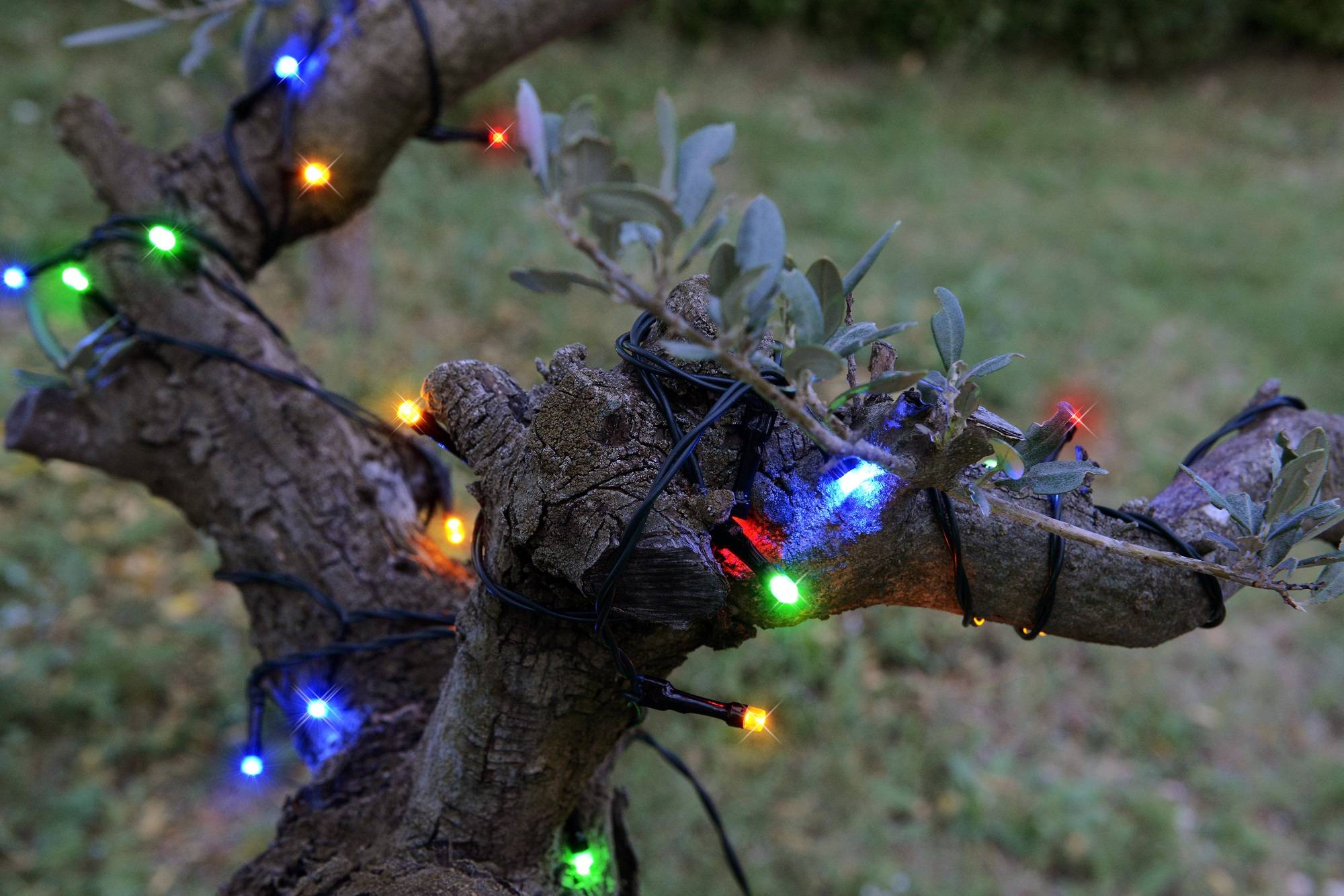 Blachere Illumination - Blachère Illumination - Guirlande solaire led multicolore L.20 m - Imagen 2
