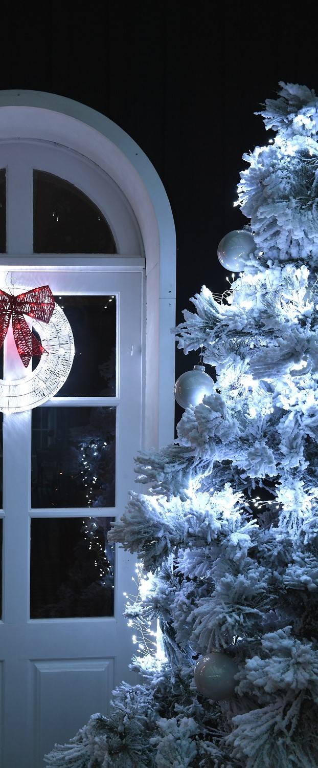 Blachere Illumination - Guirnalda micro-LED racimo Blanco puro L.9 m - Blachere Iluminación - Imagen 3