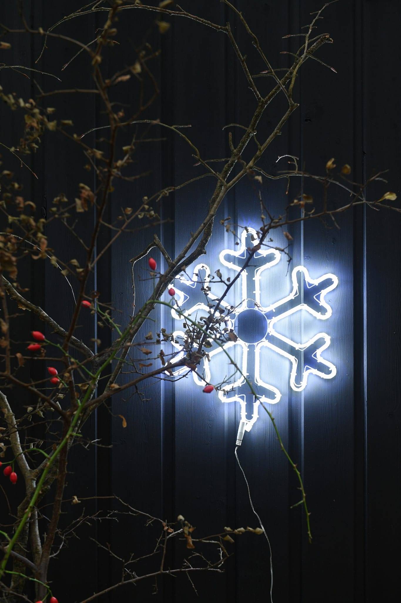 Blachere Illumination - Motif Lumineux Flocon de Neige LED L.35 x H.42 cm