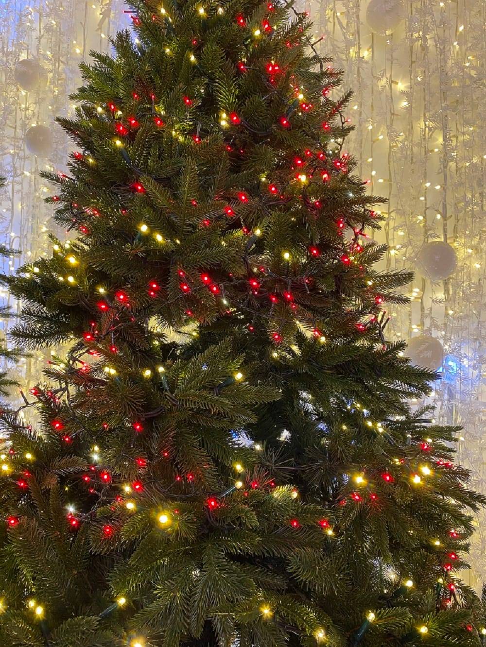 Blachere Illumination - Blachère Illumination - Guirlande Flicker Light Led Rouge L.8 m - Image 2
