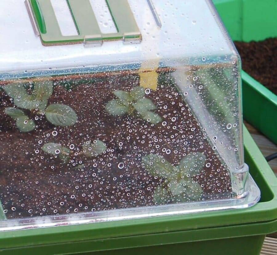 Nortène - HEATING GROW mini Serre chauffante  vert / transparent 39x25x20cm - Imagen 2