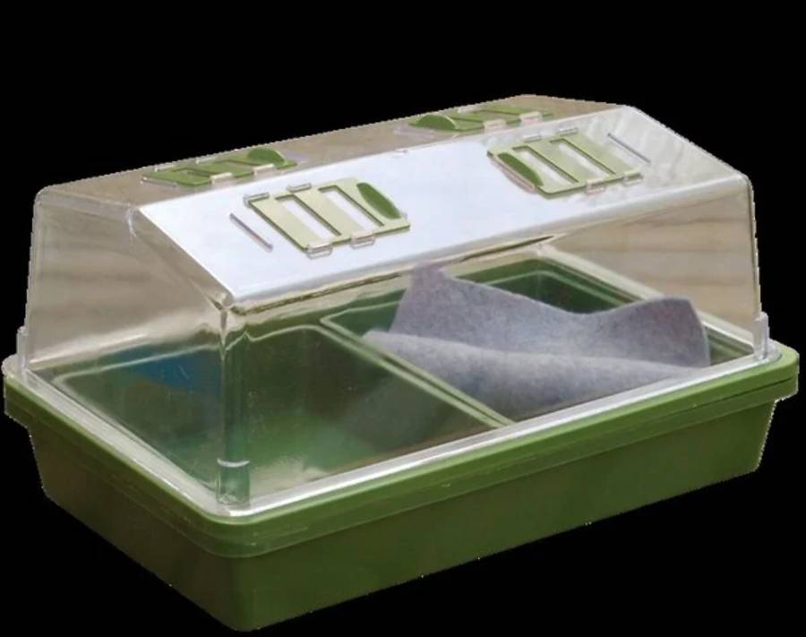Nortène - HEATING GROW mini Serre chauffante  vert / transparent 39x25x20cm - Imagen 3