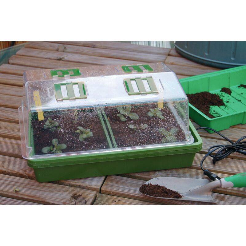 Nortène - HEATING GROW mini Serre chauffante  vert / transparent 39x25x20cm - Imagen 7
