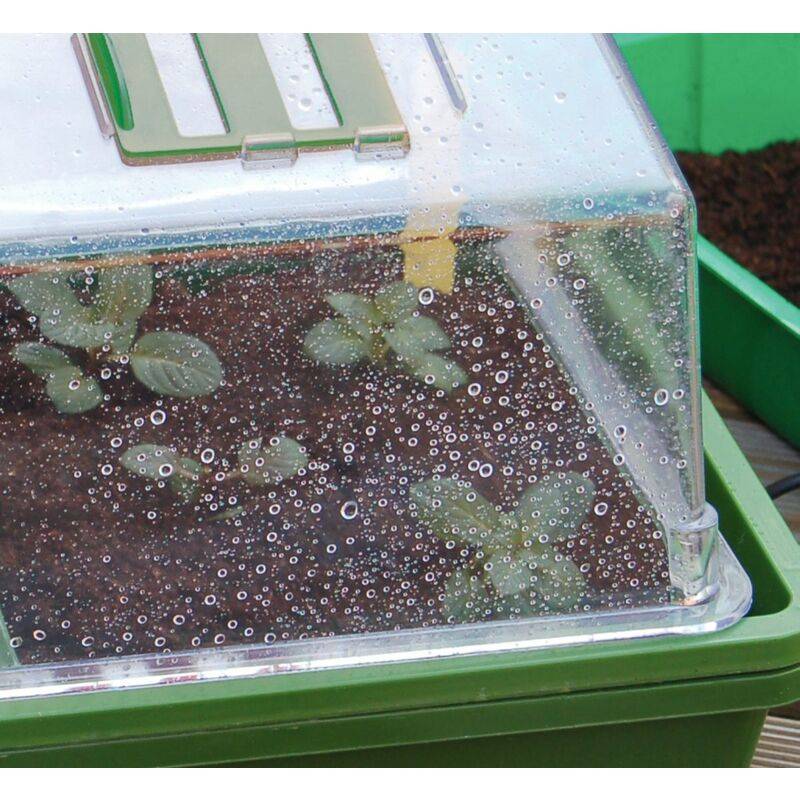 Nortène - HEATING GROW mini Serre chauffante  vert / transparent 39x25x20cm - Imagen 8