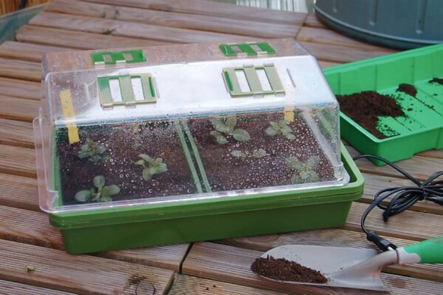 Nortène - HEATING GROW mini Serre chauffante  vert / transparent 39x25x20cm - Imagen 10