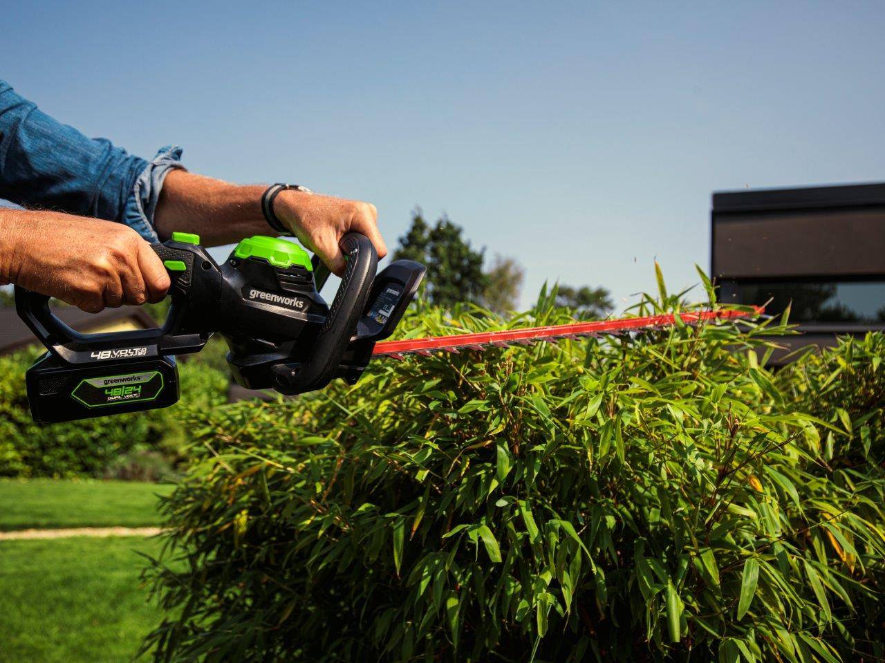 Greenworks - Taille-haies sans-fil - GREENWORKS - Image 2