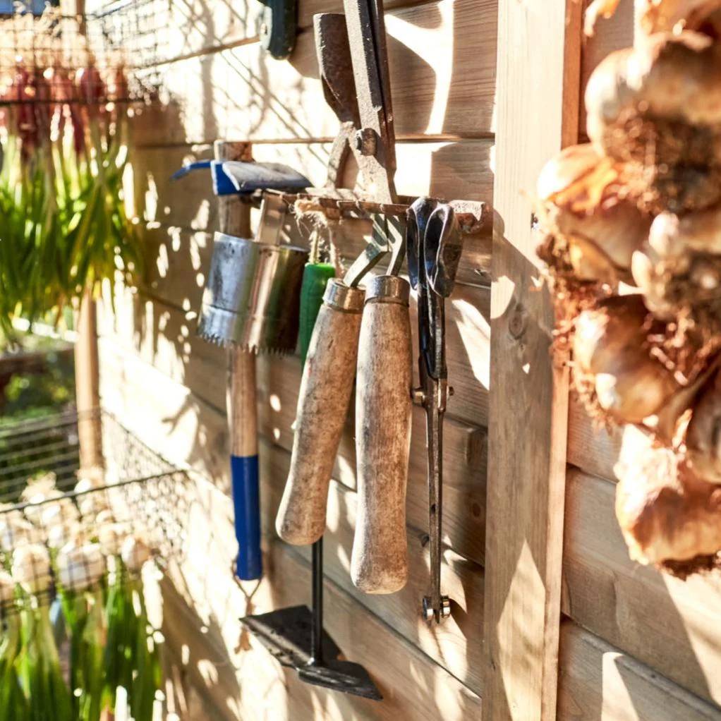 Serfouette panne et fourche forgée manche bois 40 cm - REVEX - Imagen 4