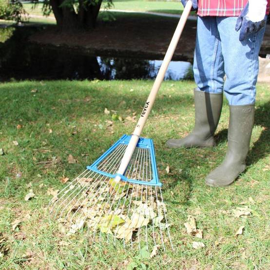 Balai à feuilles bi-matière bois L 150 cm - REVEX - Image 3