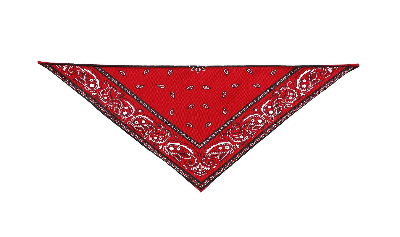 Bandana Rouge pour chien et chat Taille 2 - Imagen 1