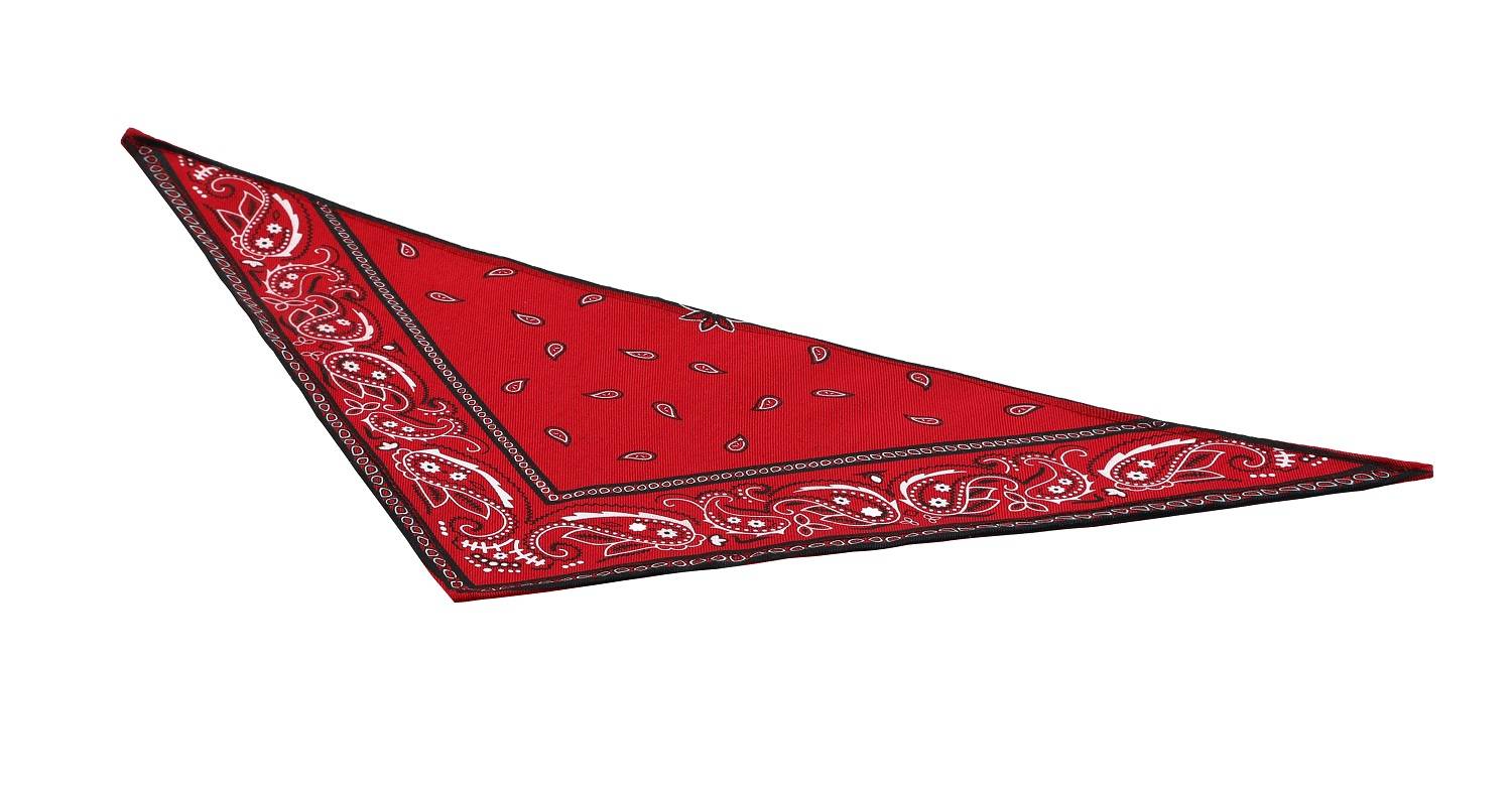Bandana Rouge pour chien et chat Taille 2 - Imagen 2