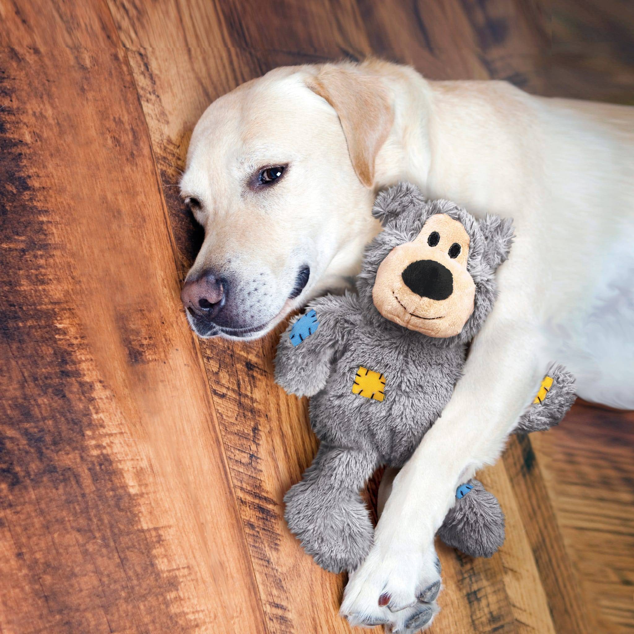 KONG - Jouet Ours en Peluche - KONG - Imagen 3