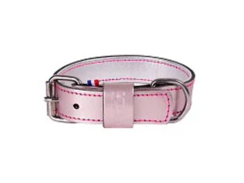 Collier pour chien cuir de vachette métallisé - Dakota