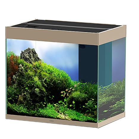 Ciano - Aquarium Emotions Pro 60 Mystic L.61,2 x l.40,2 x H.56 cm - Imagen 6