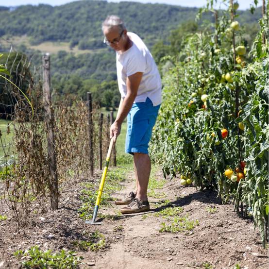Râtissoire de Jardin – LEBORGNE - Image 2