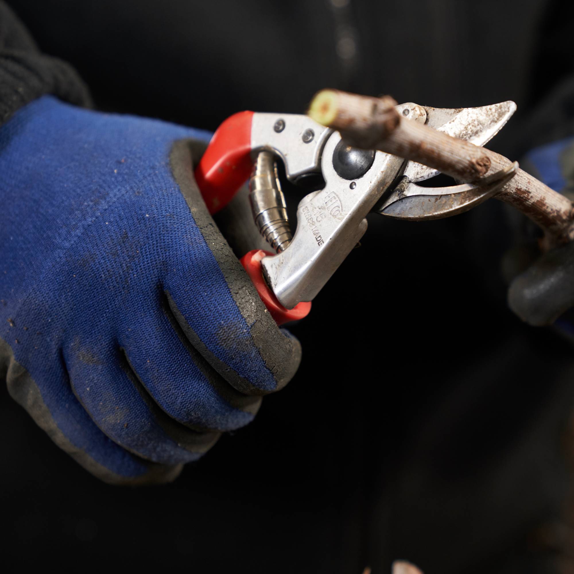 Felco - Sécateur ergonomique pro poignée tournante - Image 2