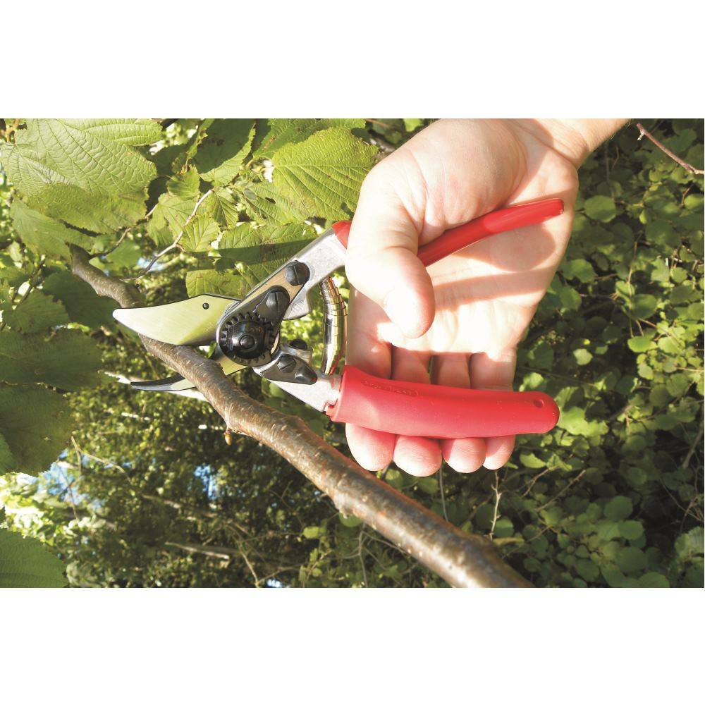 Sécateur Felco 12 aluminium forgé lames acier trempé pour droitiers - Felco - Image 2