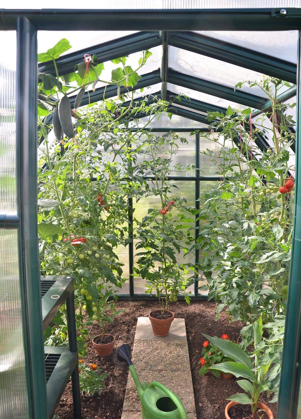Palram - Rion Serre de Jardin PVC et Polycarbonate Eco Grow 5,4m2 - Image 9