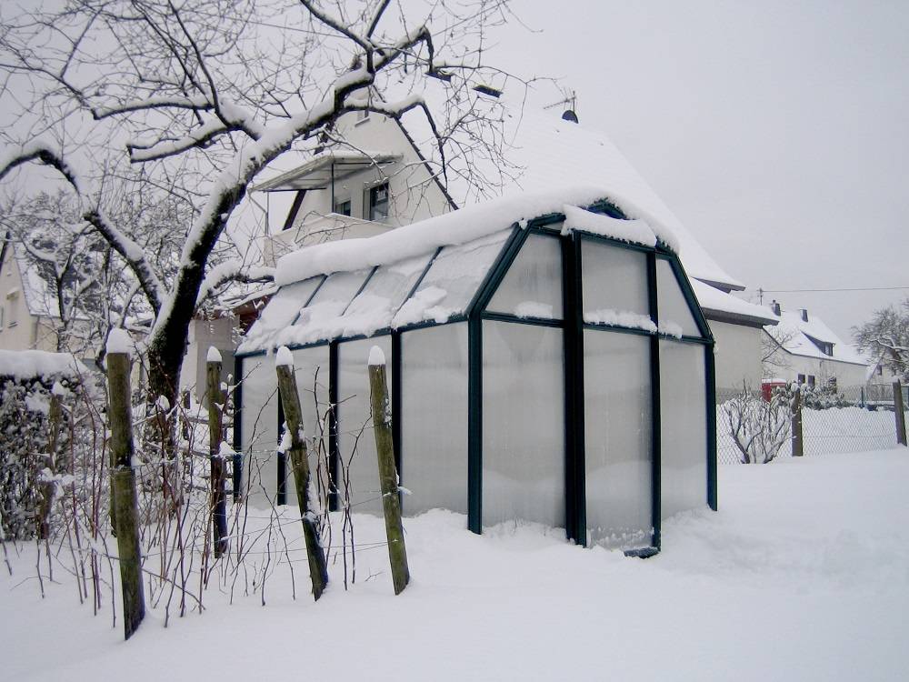 Palram - Rion Serre de Jardin PVC et Polycarbonate Eco Grow 5,4m2 - Image 10