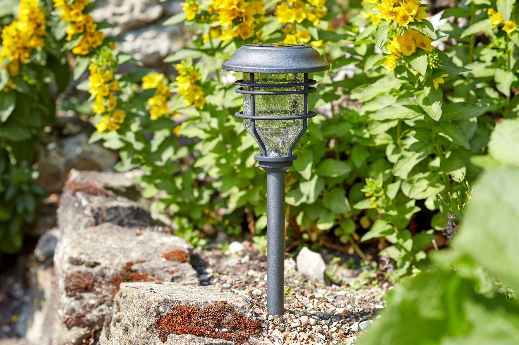 Smart Garden - Balise solaire LED - SMARTSOLAR - Imagen 3