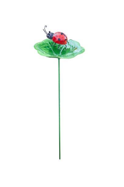 Smart Garden - Smart Garden - Pincho Lily Paddies L.16. x l.15 x H.72 cm - Imagen 3