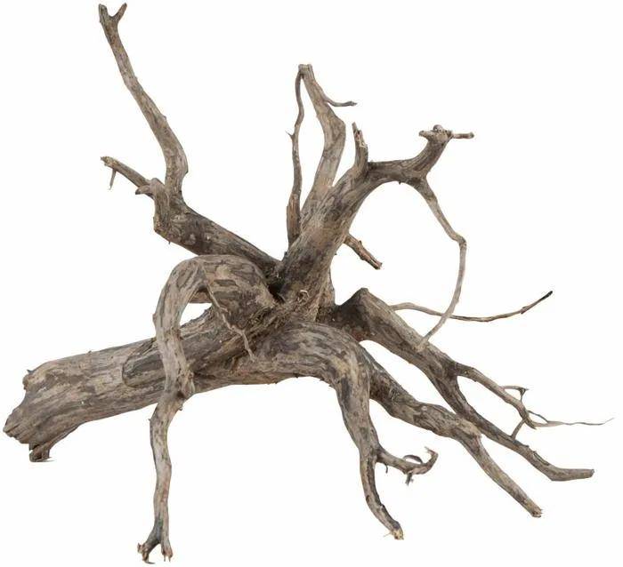Scaper root décoration en racine taille M couleur naturelle L.30 cm P.30 cm H.30 cm - Sera - Imagen 4