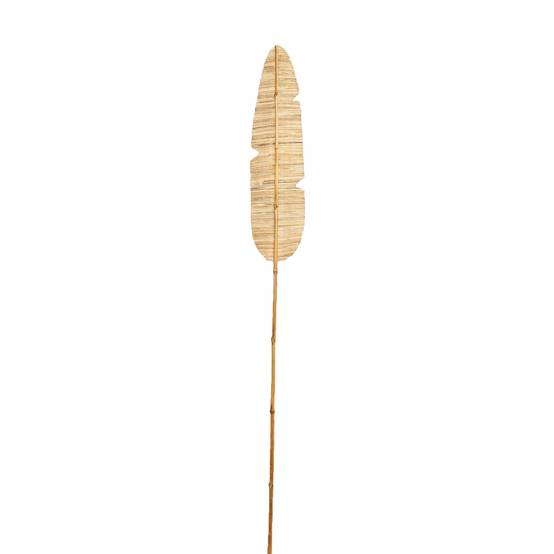 NONAME - FEUILLE DECO JACINTHE EAU 150CM