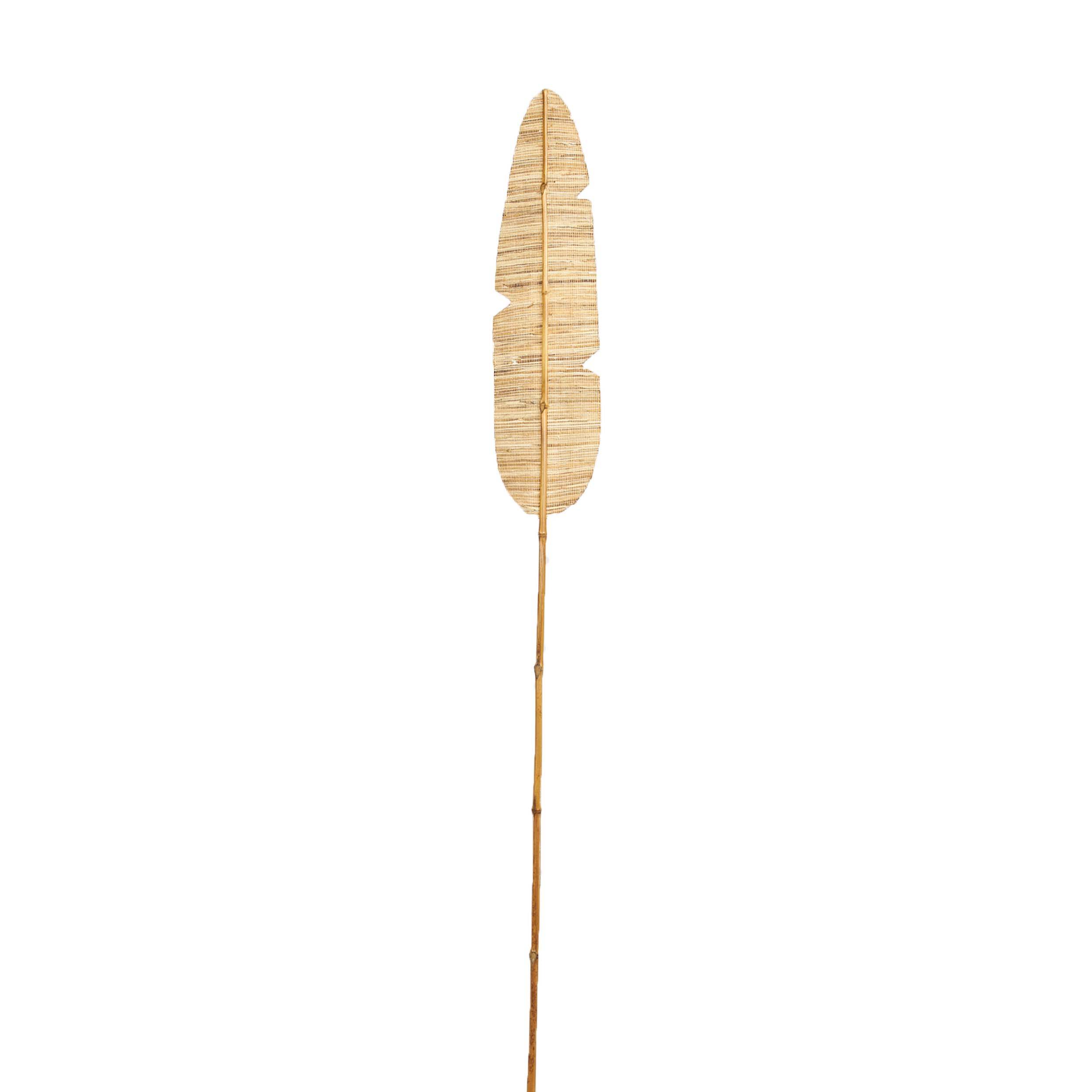 NONAME - FEUILLE DECO JACINTHE EAU 150CM