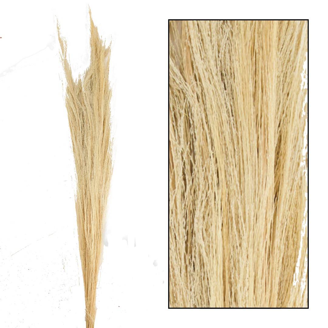 HERBE SECHE NATURE 90 105CM 100GR