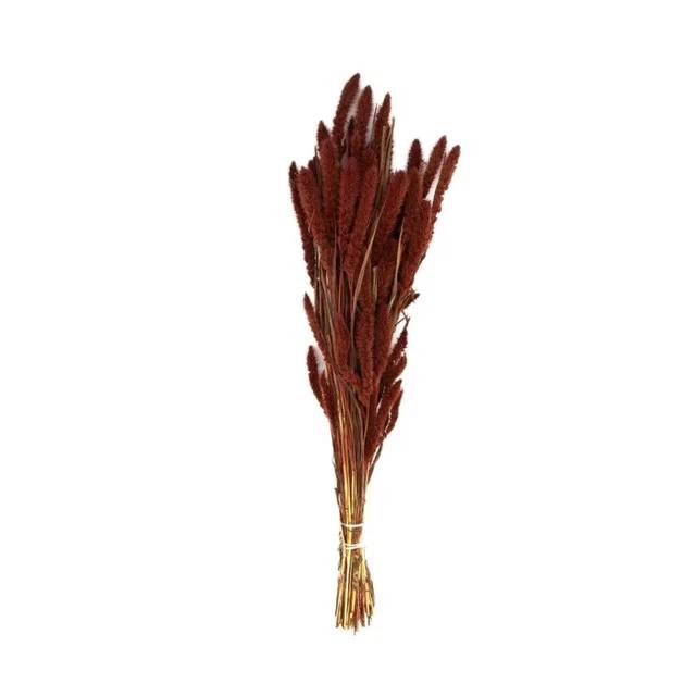 Bouquet de setaria naturel rouge 66x15x6cm - Imagen 2
