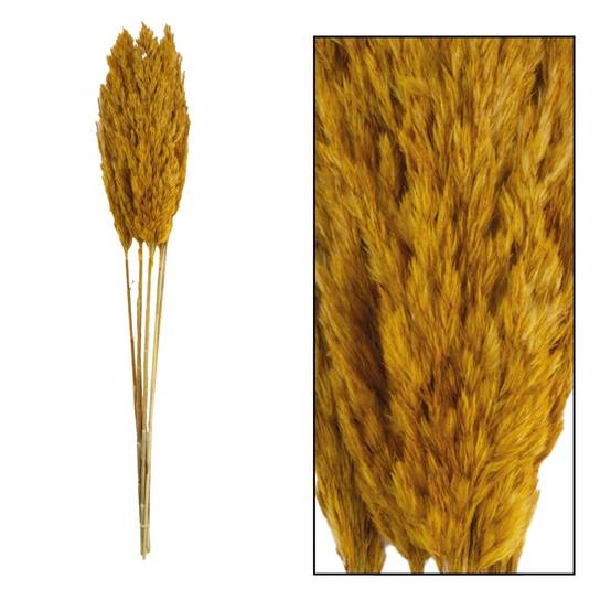 PAMPA KYAN 70GR 1