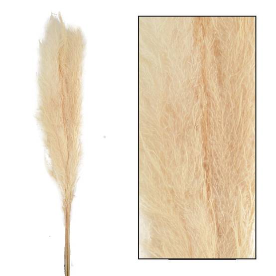 PAMPAS MACE 115 117CM 3PC 1