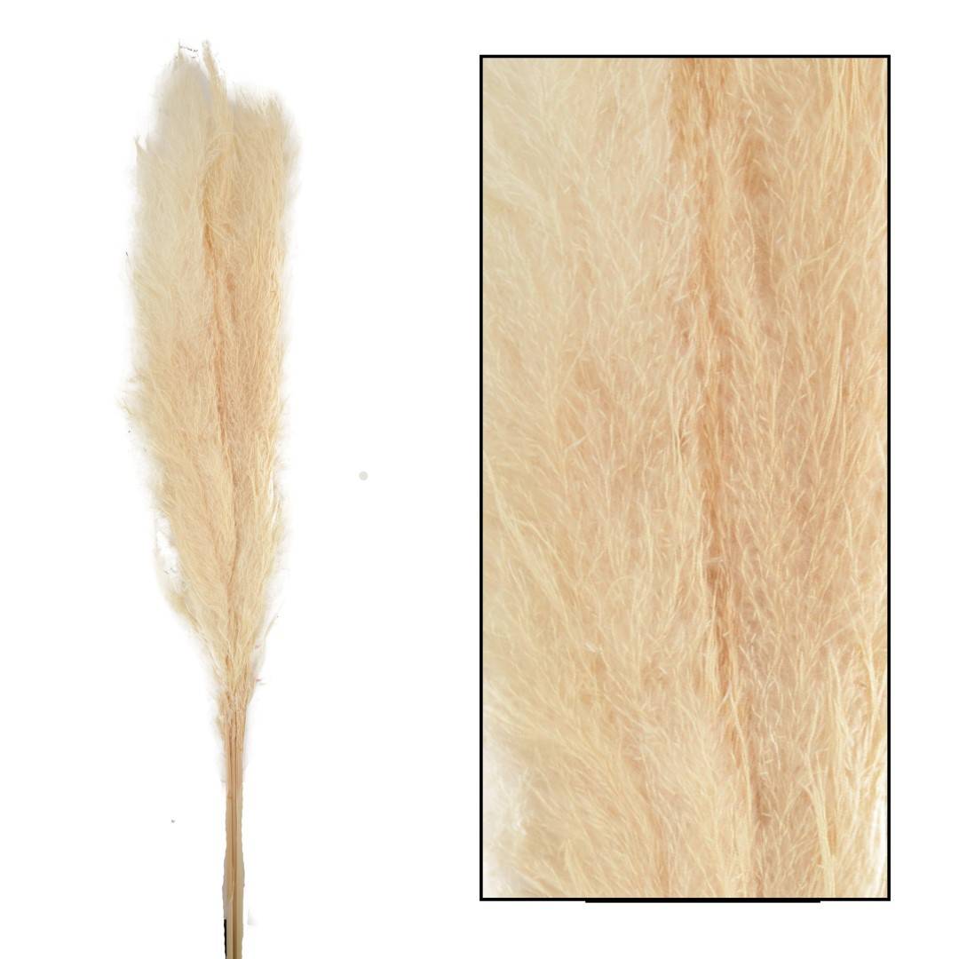 PAMPAS MACE 115 117CM 3PC 1