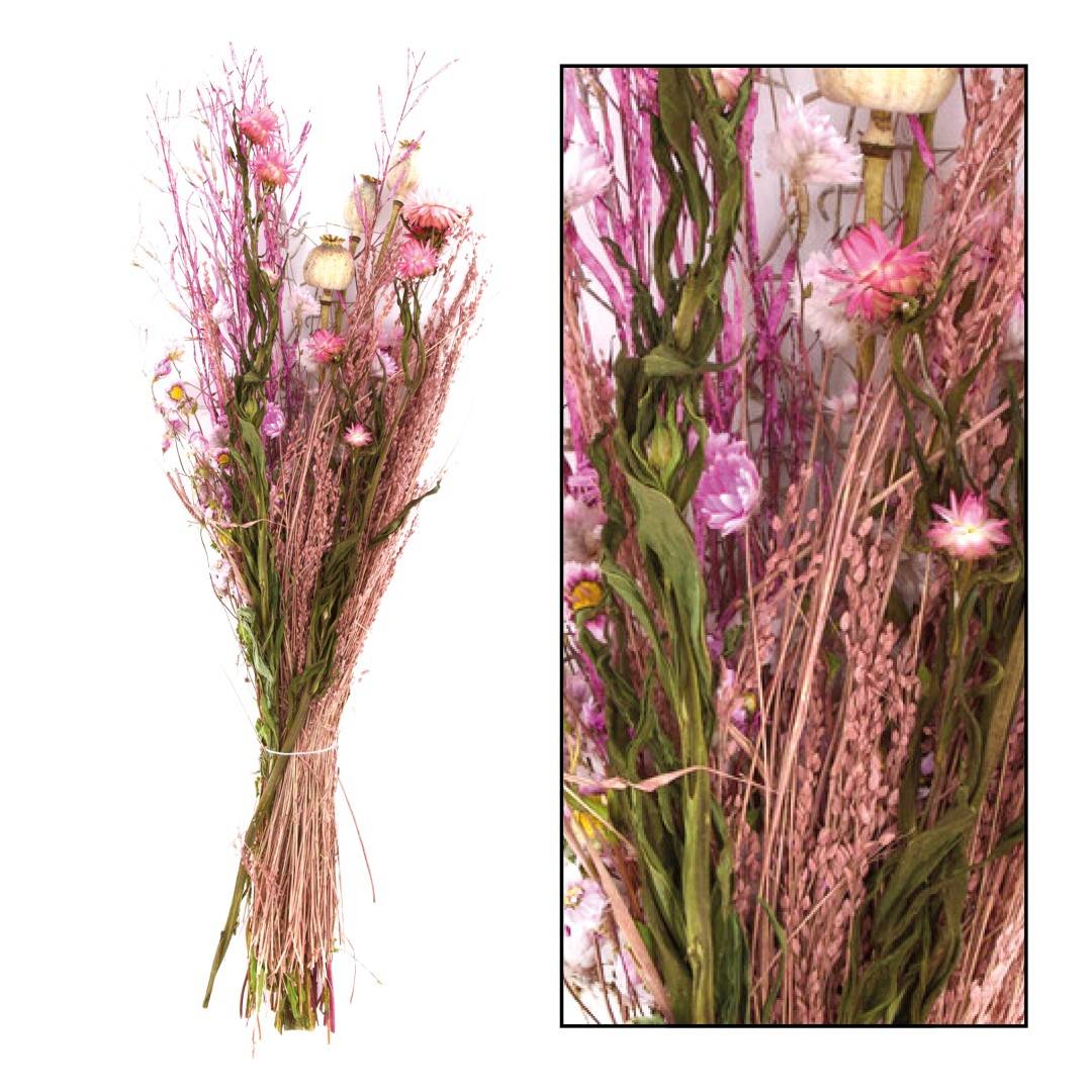 BOUQUET FLEURS SECHEES B