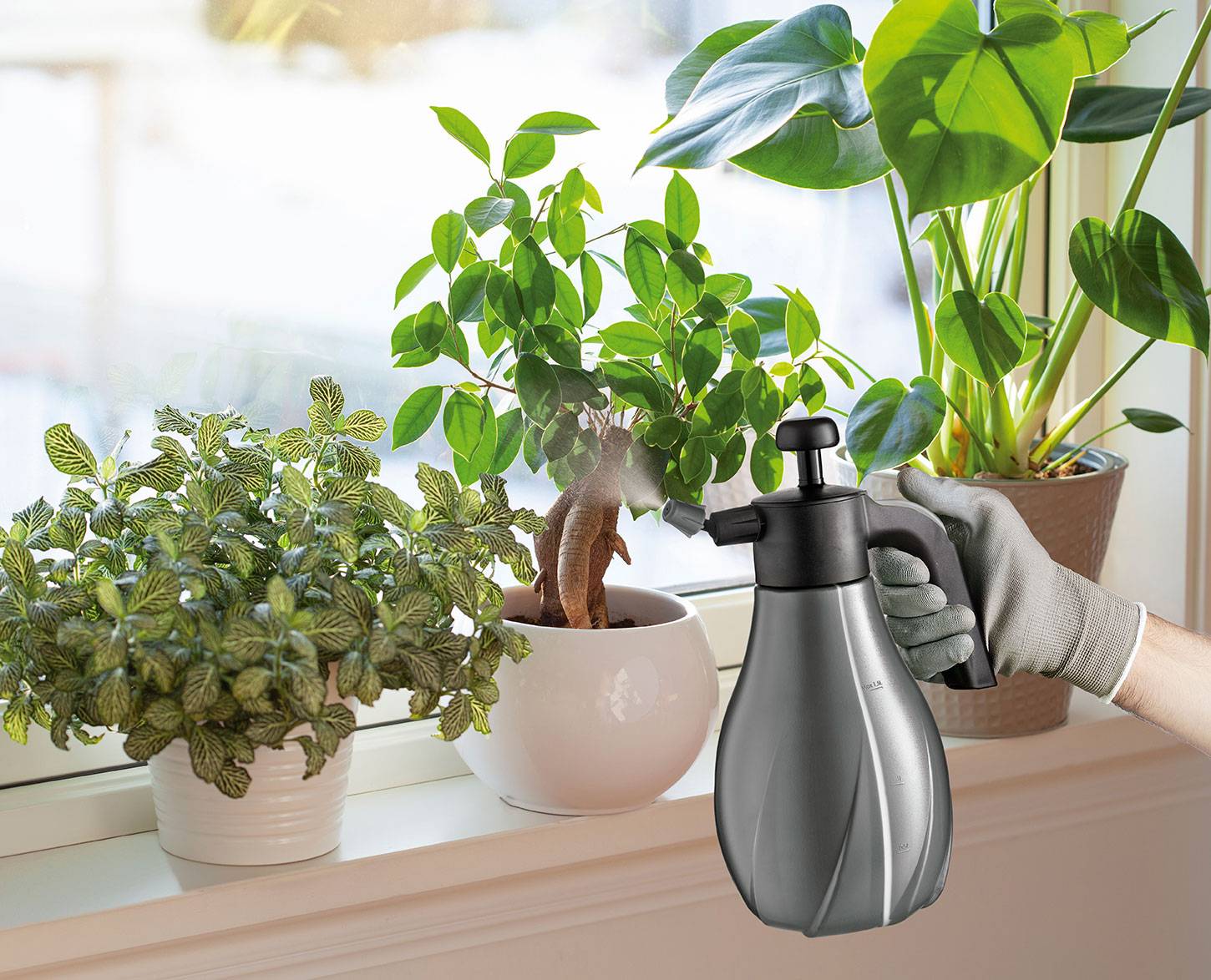 Pulvérisateur Traitements Appoint Polyéthylène - MATABI - Imagen 2