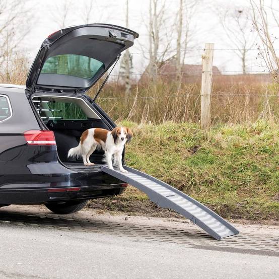Trixie - Rampe Pour Chien - TRIXIE - Image 1