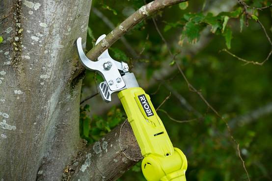 Ryobi - Coupe-branches télescopique sans fil 18V Ø 32 mm RY18PLA-0 - RYOBI - Image 3