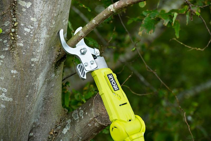 Ryobi - Coupe-branches télescopique sans fil 18V Ø 32 mm RY18PLA-0 - RYOBI - Imagen 3